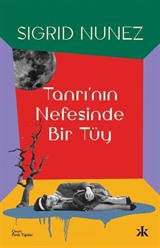 Tanrının Nefesinde Bir Tüy