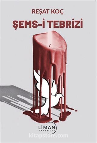 Şems-i Tebrizi