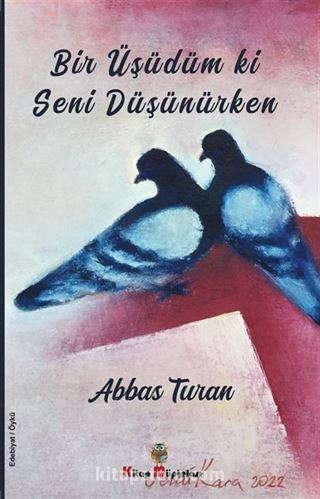 Bir Üşüdüm ki Seni Düşünürken