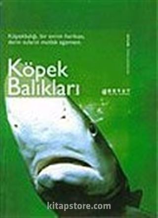 Köpek Balıkları