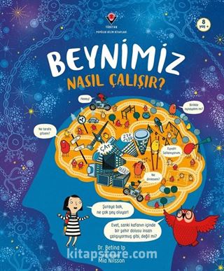 Beynimiz Nasıl Çalışır?