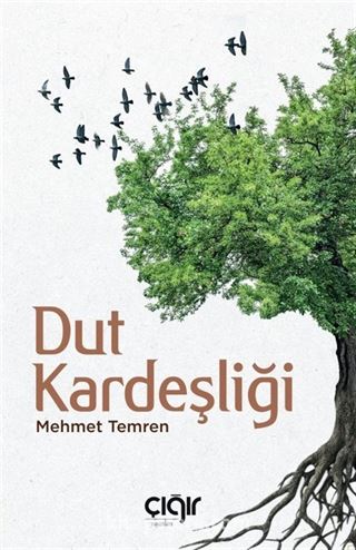 Dut Kardeşliği