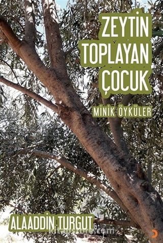 Zeytin Toplayan Çocuk