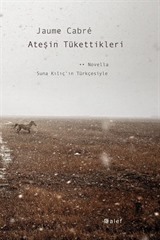 Ateşin Tükettikleri