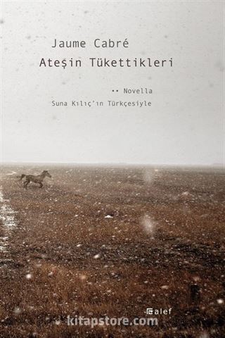 Ateşin Tükettikleri