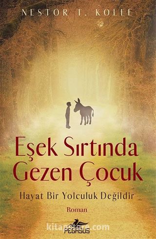 Eşek Sırtında Gezen Çocuk