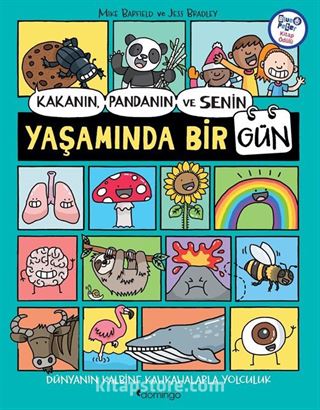 Kakanın, Pandanın ve Senin Yaşamında Bir Gün