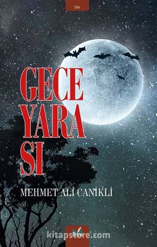 Gece Yarası