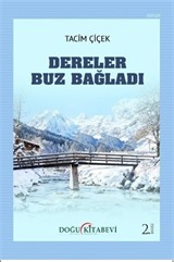 Dereler Buz Bağladı