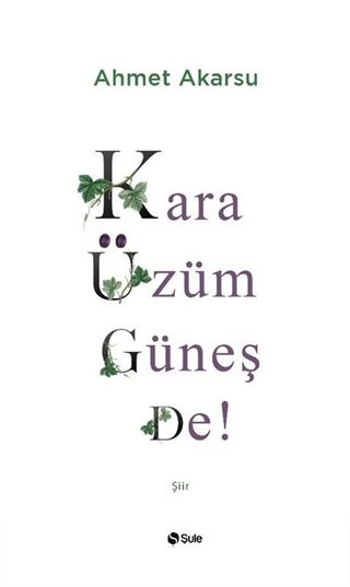 Kara Üzüm Güneş De!