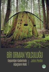 Bir Orman Yolculuğu