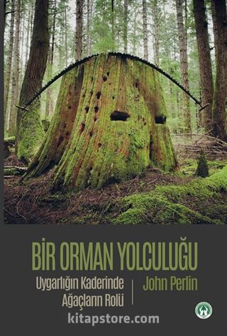 Bir Orman Yolculuğu