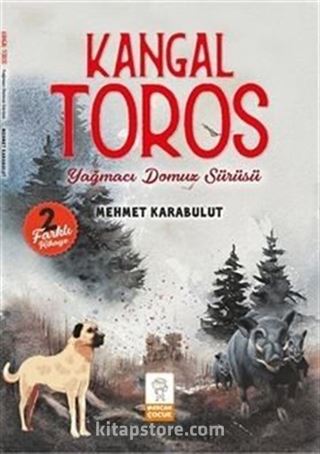 Kangal Toros / Yağmacı Domuz Sürüsü