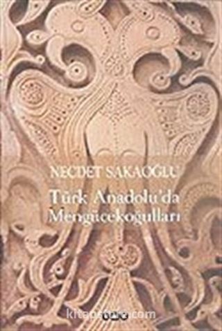 Türk Anadolu'da Mengücekoğulları