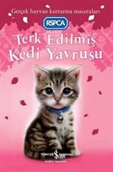 Terk Edilmiş Kedi Yavrusu