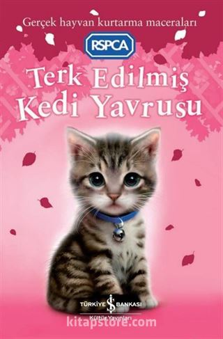 Terk Edilmiş Kedi Yavrusu