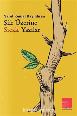 Şiir Üzerine Sıcak Yazılar