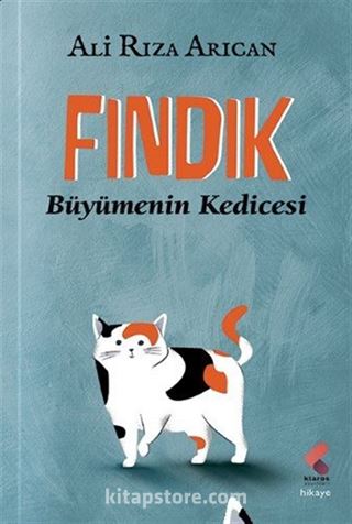 Fındık