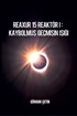 Reaxur 15 Reaktör I: Kaybolmuş Geçmişin Işığı