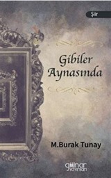 Gibiler Aynasında