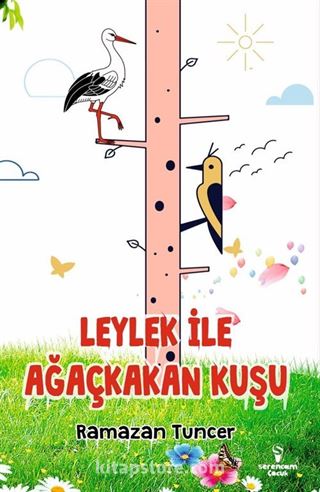 Leylek İle Ağaçkakan Kuşu