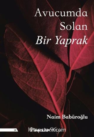 Avucumda Solan Bir Yaprak