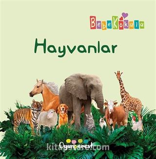 Hayvanlar