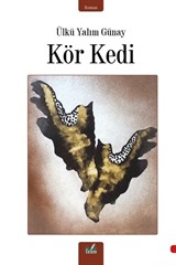 Kör Kedi