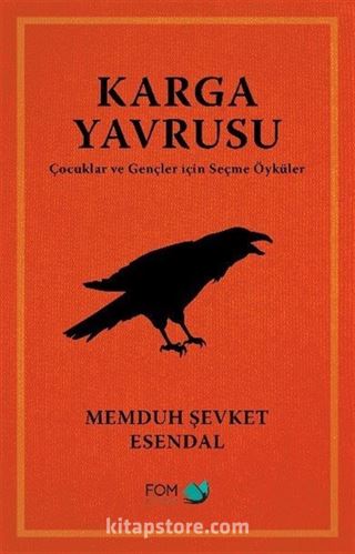 Karga Yavrusu