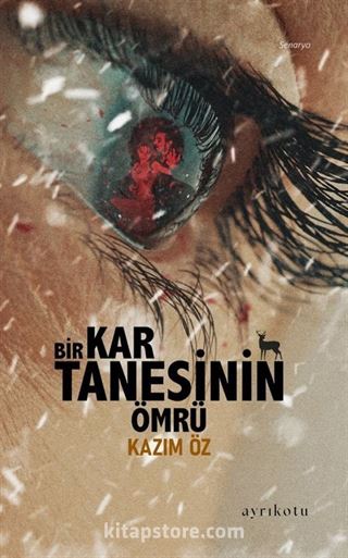 Bir Kar Tanesinin Ömrü