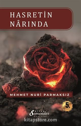 Hasretin Narında