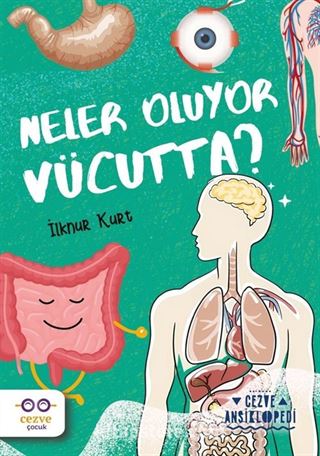 Neler Oluyor Vücutta ? / Cezve Ansiklopedi