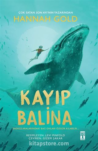 Kayıp Balina