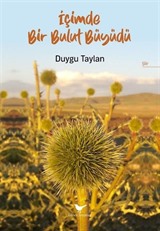 İçimde Bir Bulut Büyüdü