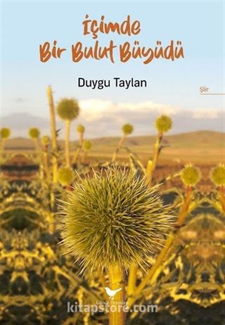 İçimde Bir Bulut Büyüdü