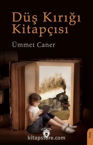 Düş Kırığı Kitapçısı