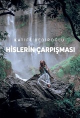 Hislerin Çarpışması