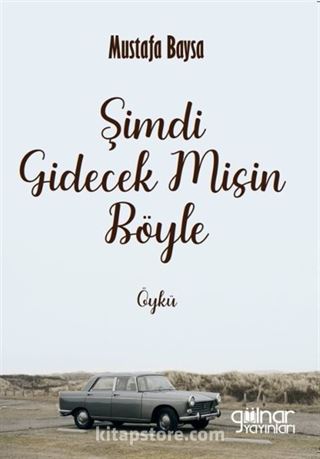 Şimdi Gidecek Misin Böyle