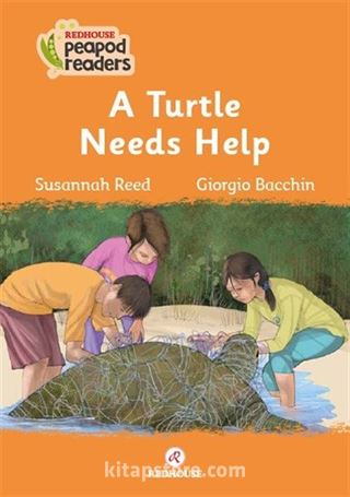 A Turtle Needs Help