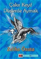 Çakır Keyif Düşlerde Aymak