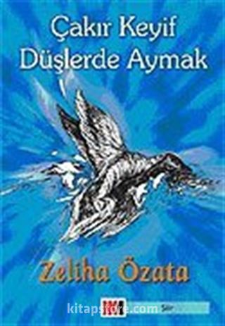 Çakır Keyif Düşlerde Aymak