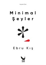 Minimal Şeyler