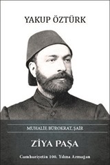 Ziya Paşa Muhalif, Bürokrat, Şair