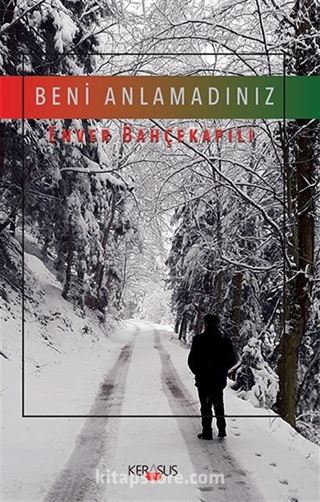 Beni Anlamadınız