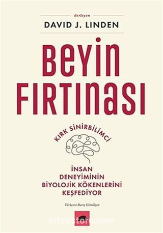 Beyin Fırtınası