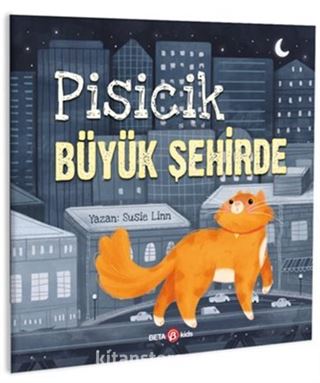 Pisicik Büyük Şehirde