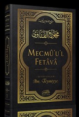 Mecmûu'l-Fetava (17. Cilt)