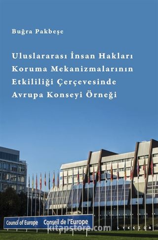 Uluslararası İnsan Hakları Koruma Mekanizmalarının Etkililiği Çerçevesinde Avrupa Konseyi