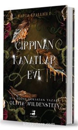 Çırpınan Kanatlar Evi / Karga Krallığı 1 (Ciltli)