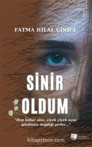 Sinir Oldum